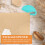5Pcs Envelope Slitter Mail Opener Portable Cutter 2
