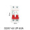 Διακόπτης DZ47 2πόλων 3A/6A/10A/16A/20A/32A/40A/50A/63A 400V τύπου C 1