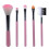 Happydeer 5Pcs Eye Shadow Foundation Eyeliner Eyelash Lip Makeup Brushes Cosmetic Tools 1