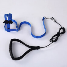 Adjustable Parrot Harness and Bird Leash AntiBite Training Strap for Outdoor Flying XS Blue