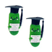 Graduation Gift Handmade Crochet Kimchi Pickle Doll with Detachable Hat and Humorous Card