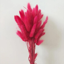 Pampas Grass and Dried Bunny Tail Bouquet 50Pcs 35cm Boho Wedding Decor Natural Fluffy Stems