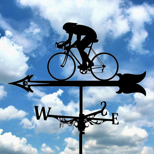 Rustproof Metal Weather Vane Donkey Design Garden Wind Direction Indicator with Ceiling Bracket 2