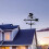 Rustproof Metal Weather Vane Donkey Design Garden Wind Direction Indicator with Ceiling Bracket 4