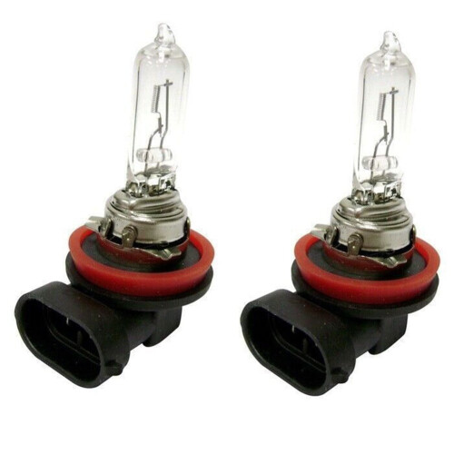 Safini White Halogen Automotive Bulb 2 Pack 2