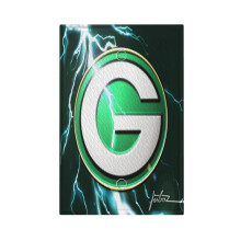 Packers Switching Lights Single Leather Roman Frame Switch Panel Wall Panel Single Double/Pull Light Switch
