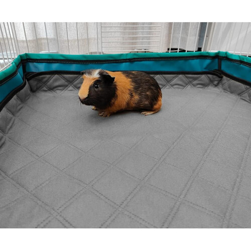 Cage mat Guinea pig 60x120 cm 2-pack GINISWEETY 1