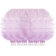 Clearance! Fdelink Color Feathers 50 Pcs, Colourful Plumage for Wedding, Party, DIY Crafts, Home Decor, Hair & Clothing - Compatible with Various