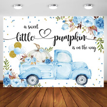 Little Pumpkin Baby Backdrop 10x7ft A Little Sweet Pumpkin is On The Way Blue Floral Truck Balloons