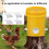 Gravity Automatic Chicken Feeder No Waste, Chicken Feeder 4