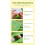 Perfect Alley Woolen Crochet Sloth Material Pack Set 4