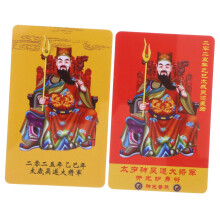 Feng Shui Amulet Cards Snake Year Taisui Protection for Luck Wealth and Blessings PVC Set of 2