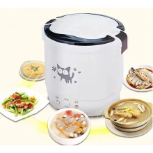 Mini Rice Cooker with Fast 220V Heating, MultiFunction Pot for Home and Travel