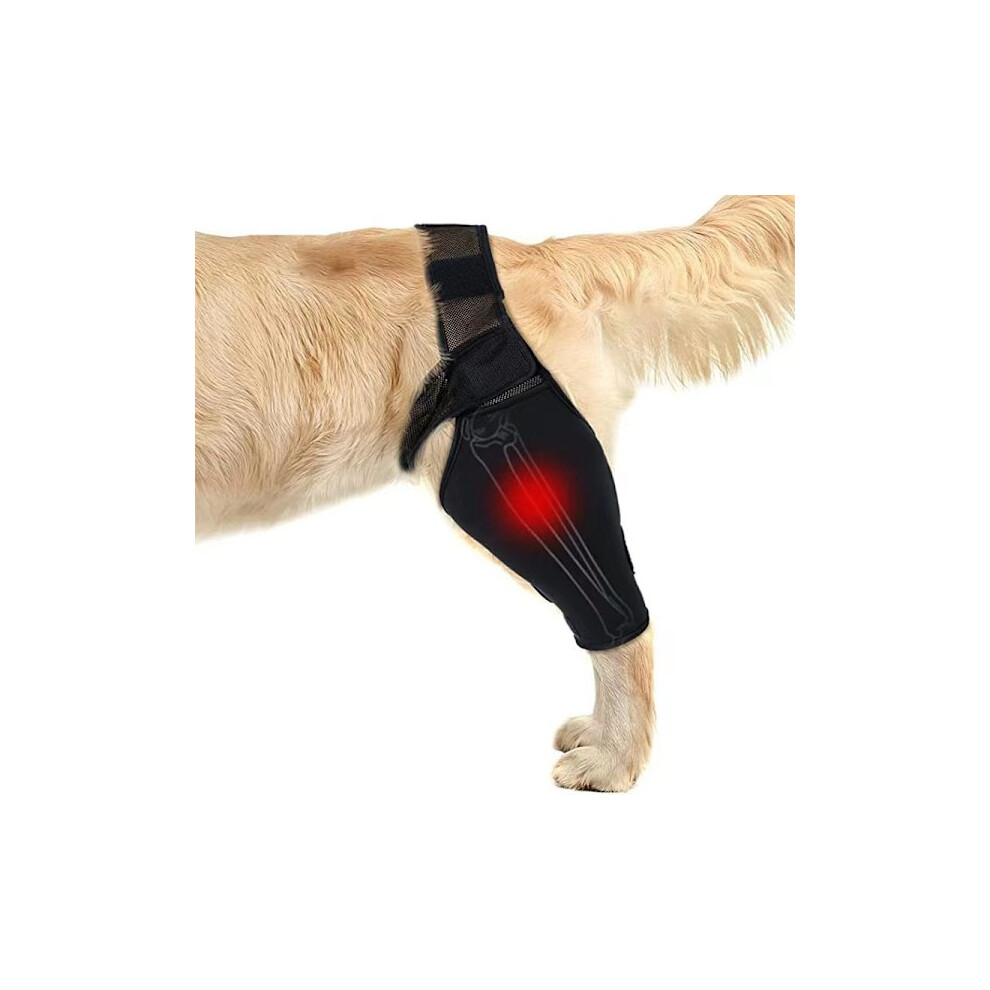 Leg Support for Dogs â Breathable Knee Support for Fracture Recovery XL