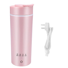 Travel Electric Kettle 475ml Stainless Steel Fast Boiling with Temperature Control for Tea Coffee Pink