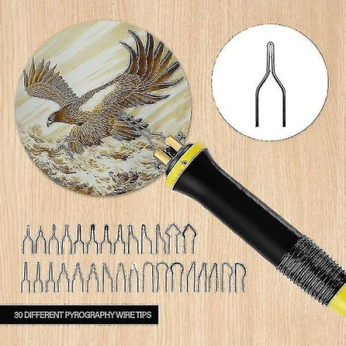 Pyrography Burning Kit Professional Wood Burning Tool 30 Wood Burning Pens 2