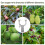 pcs Fruit Tree Branch Support Tree Straightening Kit Tree Branches Tree Support 3
