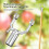 pcs Fruit Tree Branch Support Tree Straightening Kit Tree Branches Tree Support 4