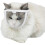S-Cat Muzzle with Breathable Mesh - Mesh Cat Muzzle to Prevent Biting and Chewing - Adjustable Anti- 1