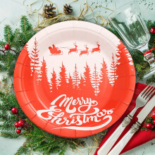 16 Pieces Christmas Plastic Plates 9" Disposable Party Plates Plates Disposable Platters Party Goods Set for Christmas Wedding Party