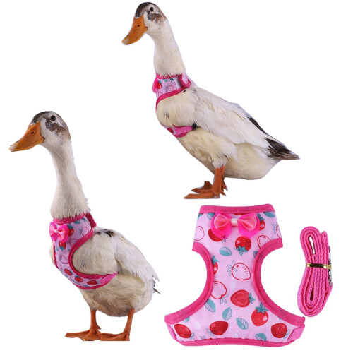 Adjustable Duck Harness with Sticker and Leash for Rabbits Easy Control 1