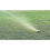 Maxi-Paw Sprinkler for Full or Partial Circle Lawn Irrigation 4