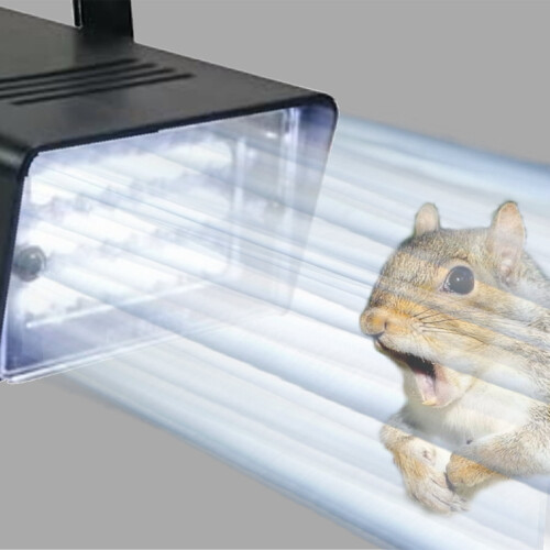 Tomfoto Attic Squirrel Repellent Flashing Strobe Light Speed Control Animal Friendly 2