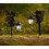 Solar fairy light for outdoor decoration 1