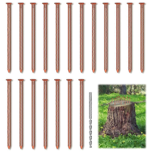 25Pcs Copper Nails for Tree Stumps 3.14 Inches Long Pure Copper Nails Bulk with Drill Bit to Remove 2