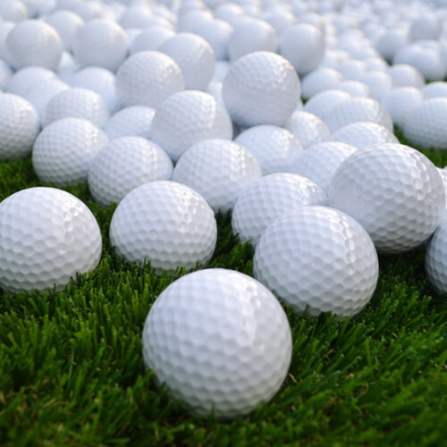 chidgrass Golf GOLF golf practice ball double layer blank 1