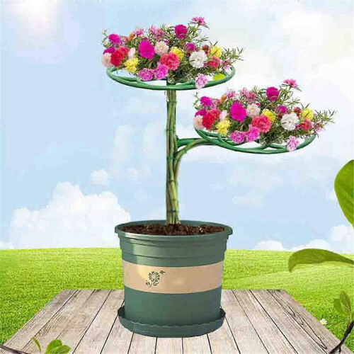 2 Set Sunflower Flower Support Stand Two-Layer Plant Support Rack for Climbing and Grafting 2
