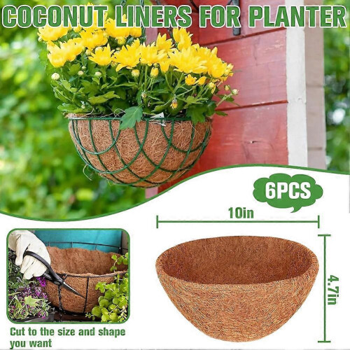 Conjunto de 6 forros de coco natural de 25 cm (10 polegadas) para cestos suspensos. 2