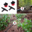 200 Adjustable Irrigation Drippers with Drip Irrigation Kit for Garden Watering Fitting 4