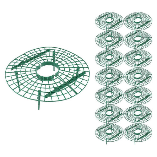 15 Pack Strawberry Plant Supports Strawberry Growing Support Rack Avoid Rot Frame Strawberry Growing 1