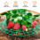 15 Pack Strawberry Plant Supports Strawberry Growing Support Rack Avoid Rot Frame Strawberry Growing 4