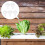 50Pcs Hydroponic Vegetable Planting Cup Plastic Hydroponic Baskets Garden Tools 4