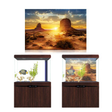 Sonnen- und Wüsten-Aquarium-Fischtank-Hintergrundposter PVC-Klebedekor 12250cm