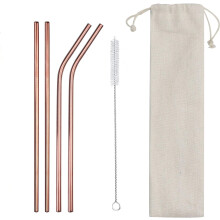 Metal Straws Set - 4PCS Reusable Stainless Steel (2 Straight, 2 Bent) 10.5" Long, 0.24" Wide with Cleaning Brush & Case