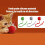 Interactive Cat and Dog Play Ball, Motion Activated Rolling Ball, Fast Rolling on Carpet Grey 6