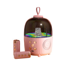 Speakers Gnobogi Speaker Microphone Outdoor Portable Mini Dual Mic Karaoke Ambient Light Singing For Family Portable Audio Clearance
