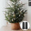 6Pcs Plastic Xmas Tree Bases Practical Xmas Tree Holders Tree Fixators Black 3
