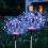 Casewin Solar Firework Path Lights, 480 LED, Multicolor, IP65 Waterproof, 4 Pack 5