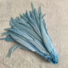 50pcs Natural Rooster Tail Feathers 25-45cm, Beige & Sky Blue 35-40cm, DIY Dyed for Clothing, Jewelry, Performance Accessories