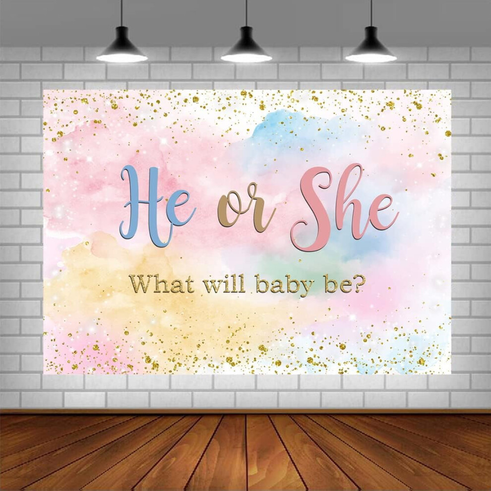 Watercolor Clouds He Or She Gender Reveal Backdrop Rainbow Boy Or Girl Baby Background Glitter Confetti Golden/Light 9110895402597