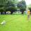Flexi leash, 5 m - White White White White 2