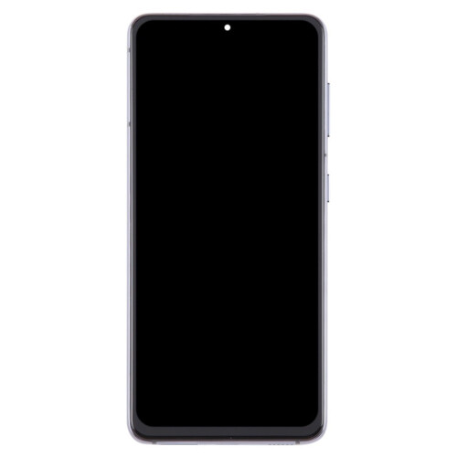 (Silver) Schermo LCD con cornice per Samsung per Galaxy S21 5G SM-G991 1