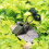 2-pack - 3-in-1 whistle with compass & thermometer - Survival Black 3
