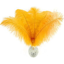 20pcs Natura Gold Ostrich Feathers 12-14 inches (30-35 cm) Bulk for DIY Thanksgiving Decorations, Wedding Party Centerpieces, Gatsby Decorations