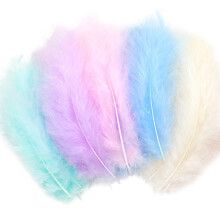 Sehao 50 Pieces Set Natural Colourful DIY Feather Craft Toy Creative Natural Animal Feather Manual DIY Material Decoration Toy For Kids Plush