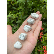 White Howlite Tumbled Stone, 0.75"-1" Tumbled White Howlite Stone
